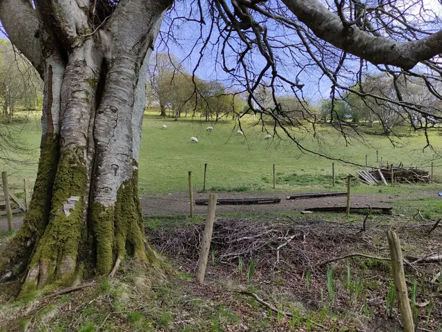 Gartan Lough walk
