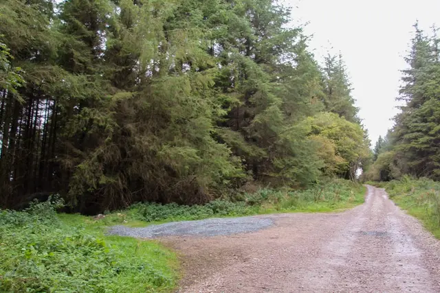 Colmcille Trail