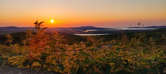 Loch Salt View point