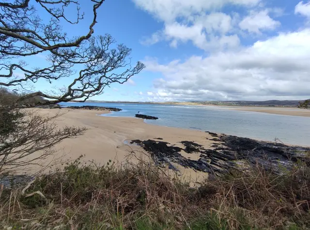 Ards Firary
