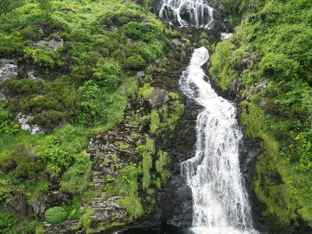 a waterfall in a forest