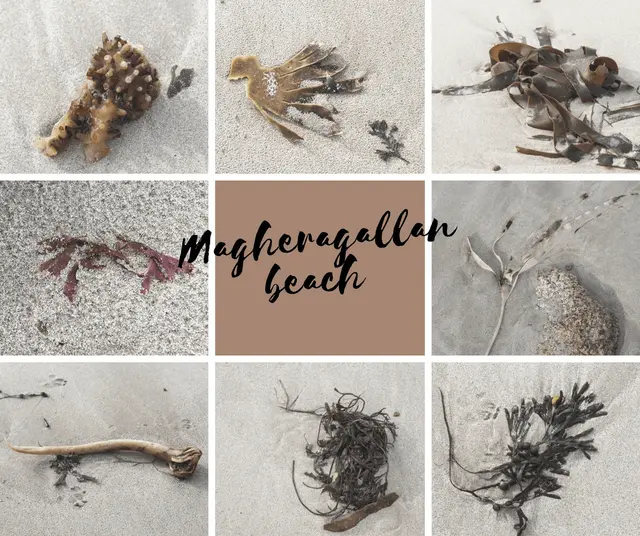 Magheragallan beach 