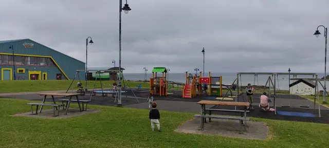 a group of people play in a park