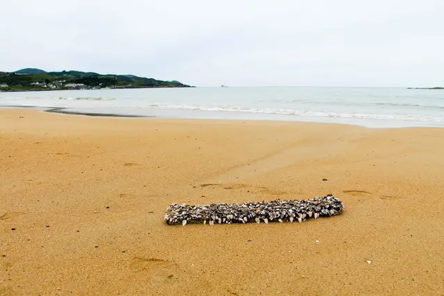 Culdaff Beach