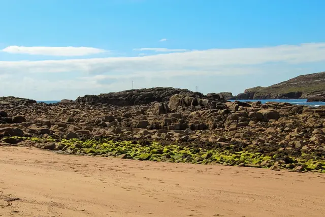 a rocky area with plants and water in the background