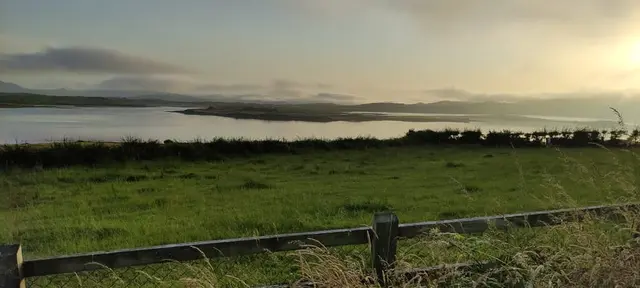 a field of grass and water