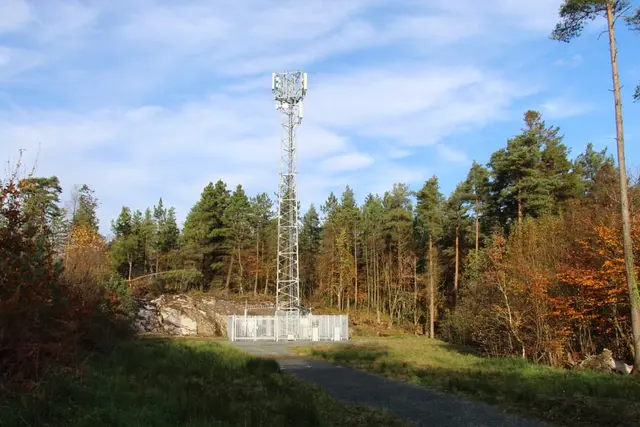 a road with trees and a tower in the background
