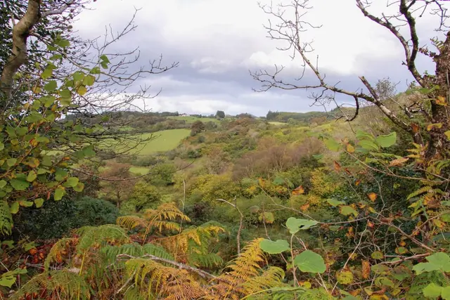 Colmcille Trail