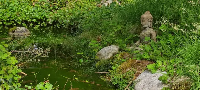 a statue in a pond