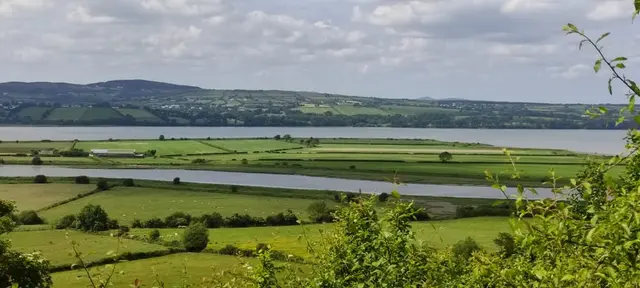 a large green field