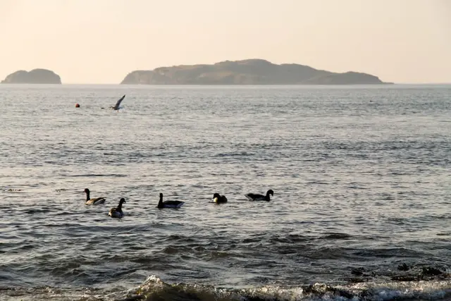Magheragallan beach 
