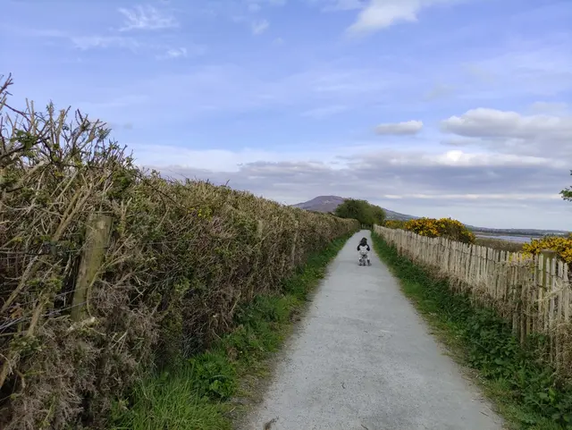 Inch Island