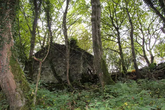 Colmcille Trail