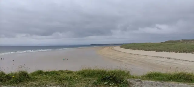 a beach with grass and sand