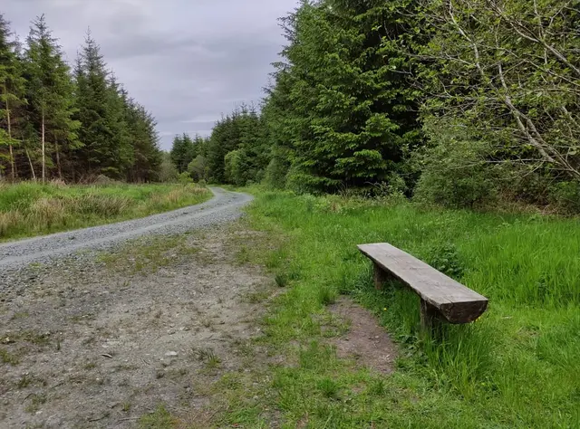 Corrovaddy Wood