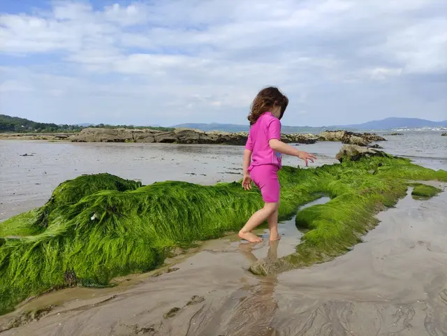 Kinnegar beach