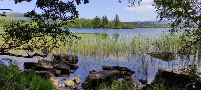 Ardnamona Woods