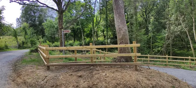 Ardnamona Woods