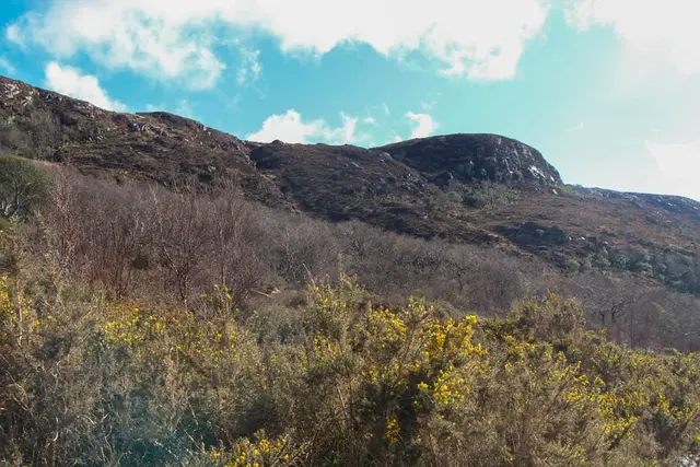 a landscape with hills and trees