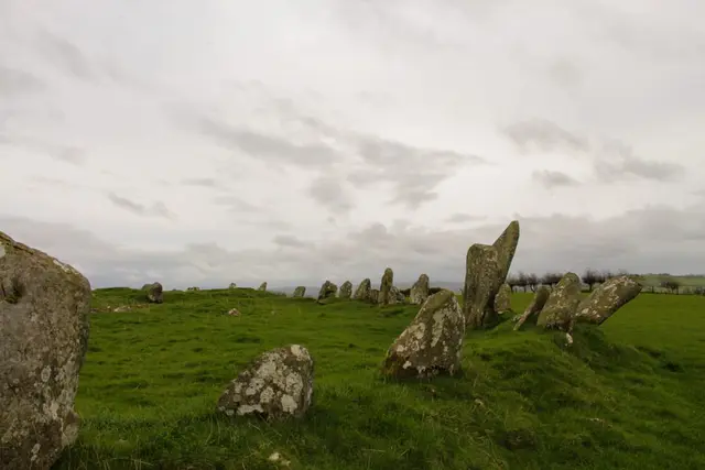 a grassy field with rocks