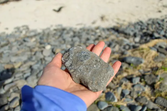 a hand holding a rock