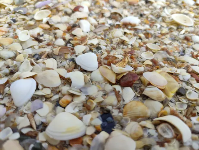Kinnegar beach