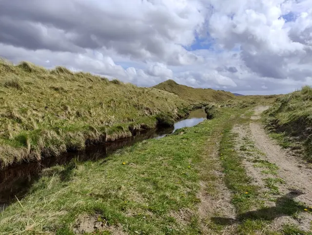 a dirt road going through a grassy area with a small pond