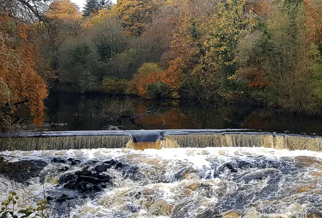 Lennon River Waterfall