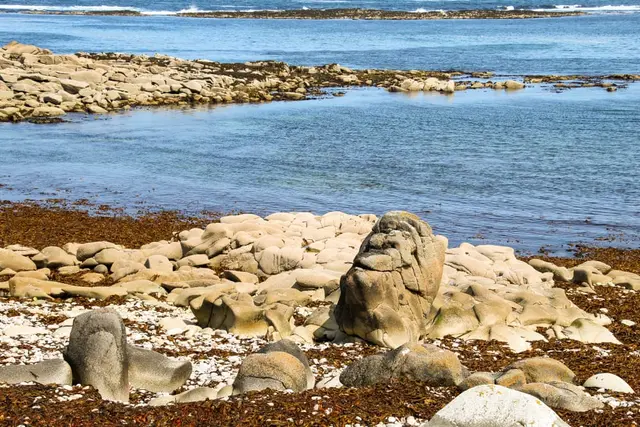 a group of rocks on a beach