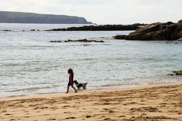 a child and a dog on a beach