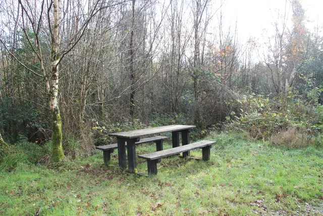 a picnic table in a park