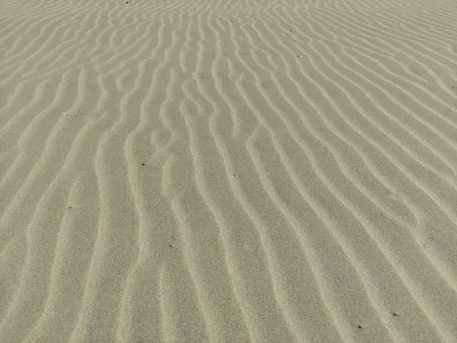 Sand at the beach