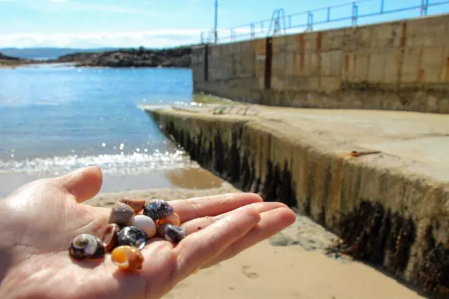 a hand holding a group of small balls in front of a body of water
