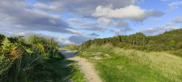 Ards Forest Park