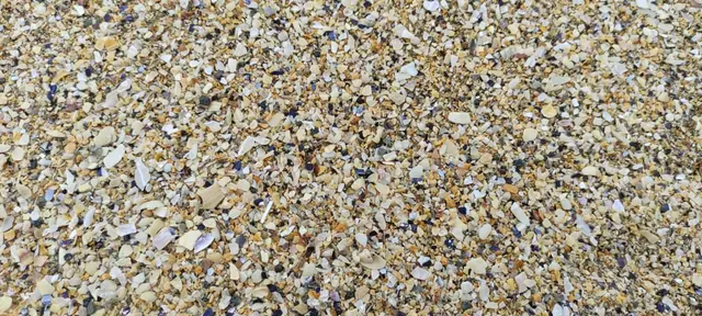 Binnagorm Beach Lucky shell beach