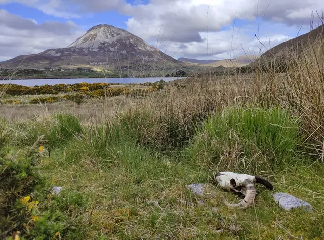 Lough Nacung Walk