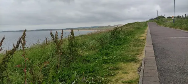 a road next to a body of water