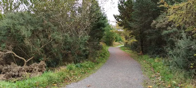 Dungloe River Walk
