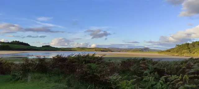 Ards forest park
