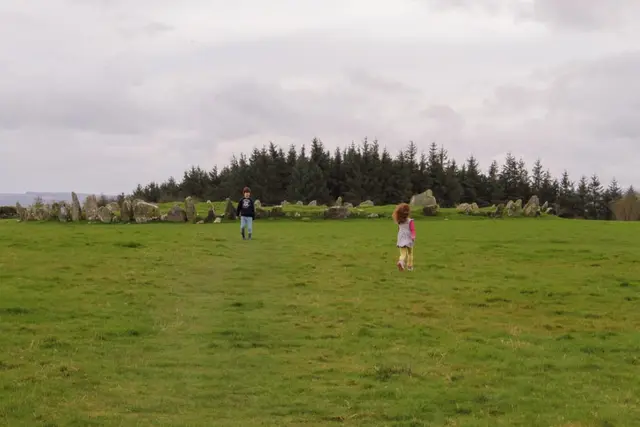 a group of people walking in a field