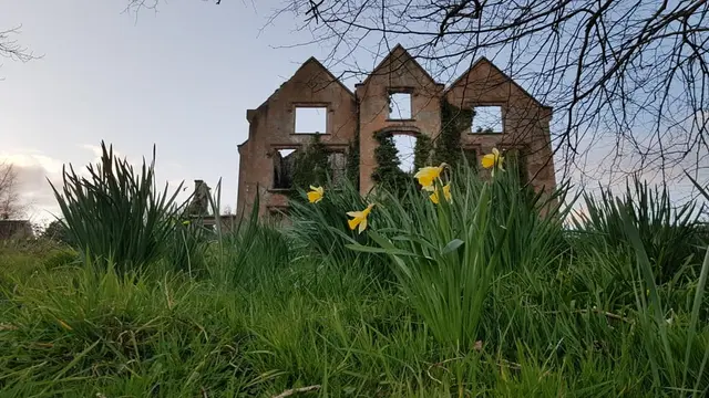 Ballymacool house ruins