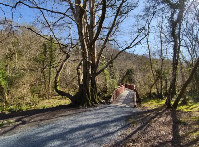 Duntally wood