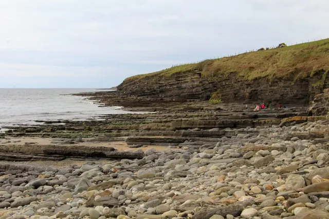 a rocky beach with people on it
