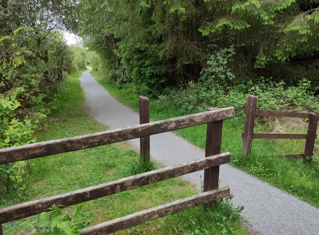 Corrovaddy Wood