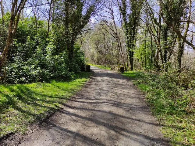 Gartan Lough walk