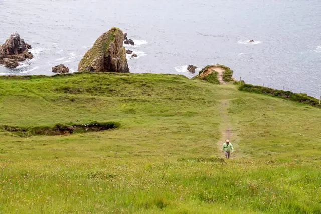 a person walking on a grassy hill