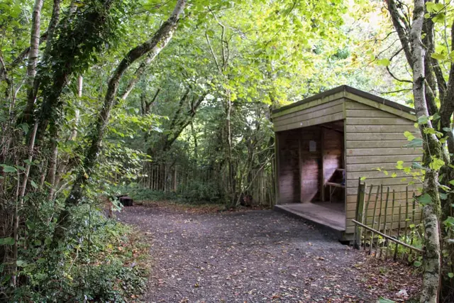 Ballyaar wood