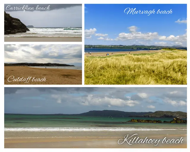 a beach with a body of water
