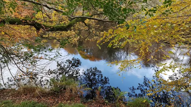 Lennon River