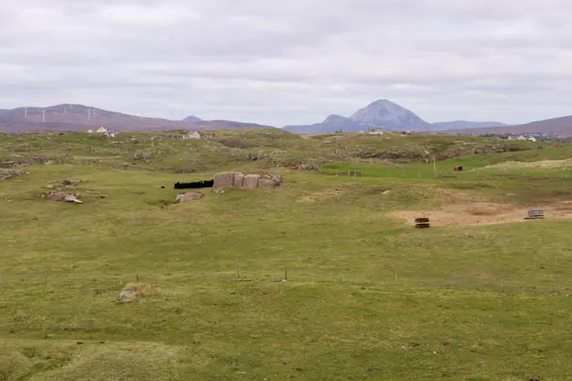 a grassy field with rocks in it